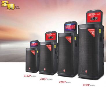 Z112P